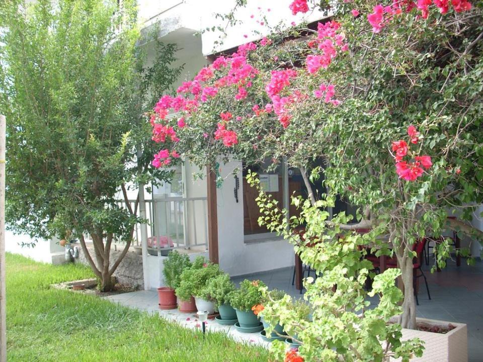 Sea Breeze 2 Apartments Mastichari  Exterior foto